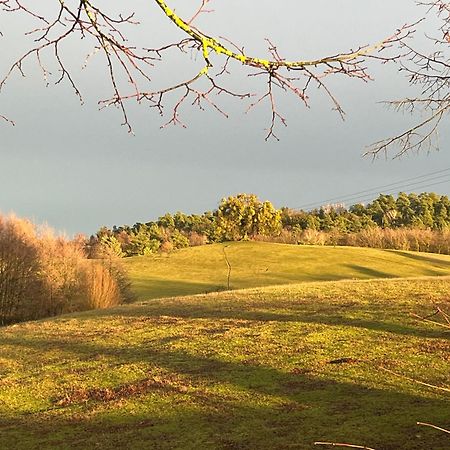 Kleine Backsteinloft Daire Templin Dış mekan fotoğraf